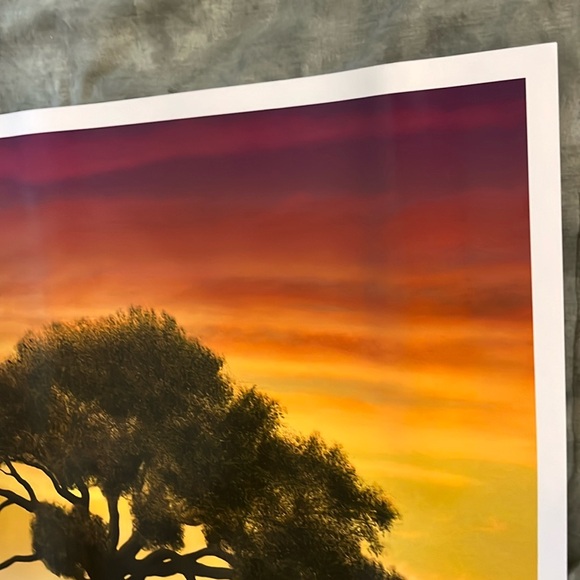 Forrest Gump 16x20 LE Movie Poster + coaster NEW - Picture 6 of 9